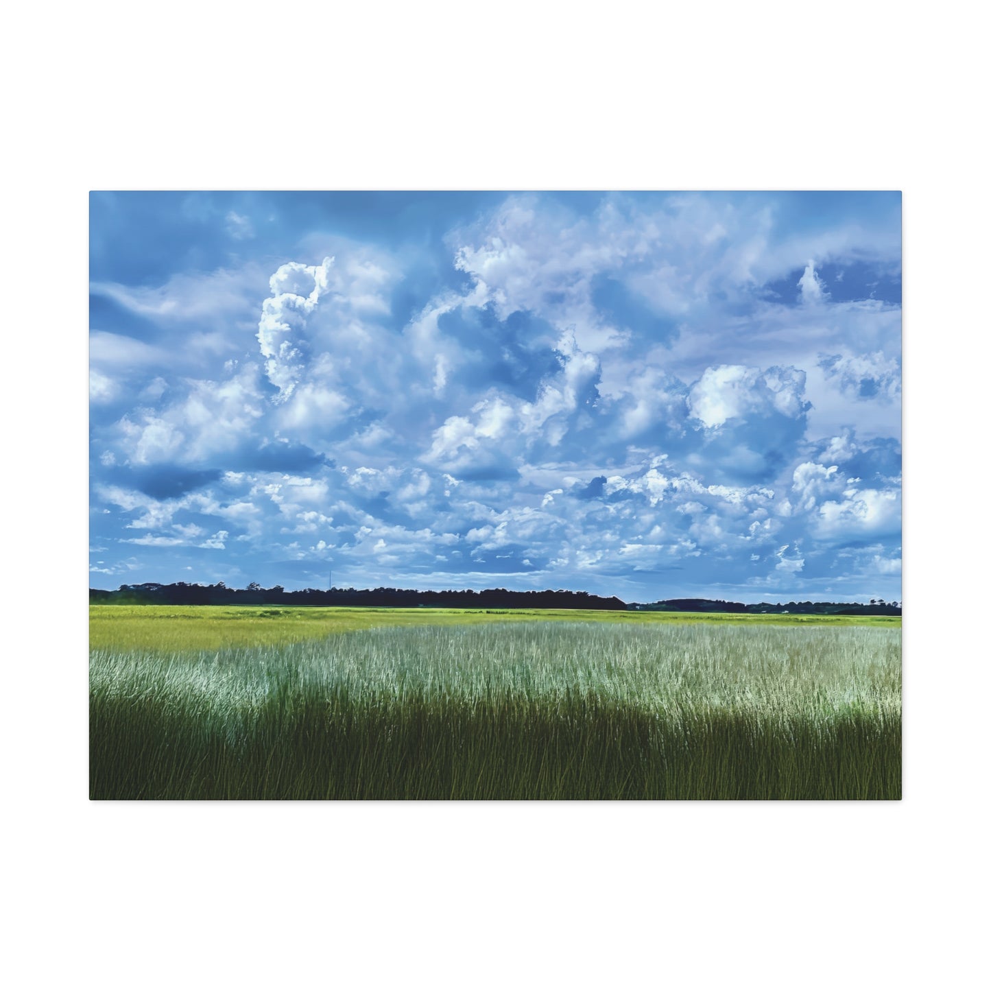 Marsh Cloudscape on Canvas