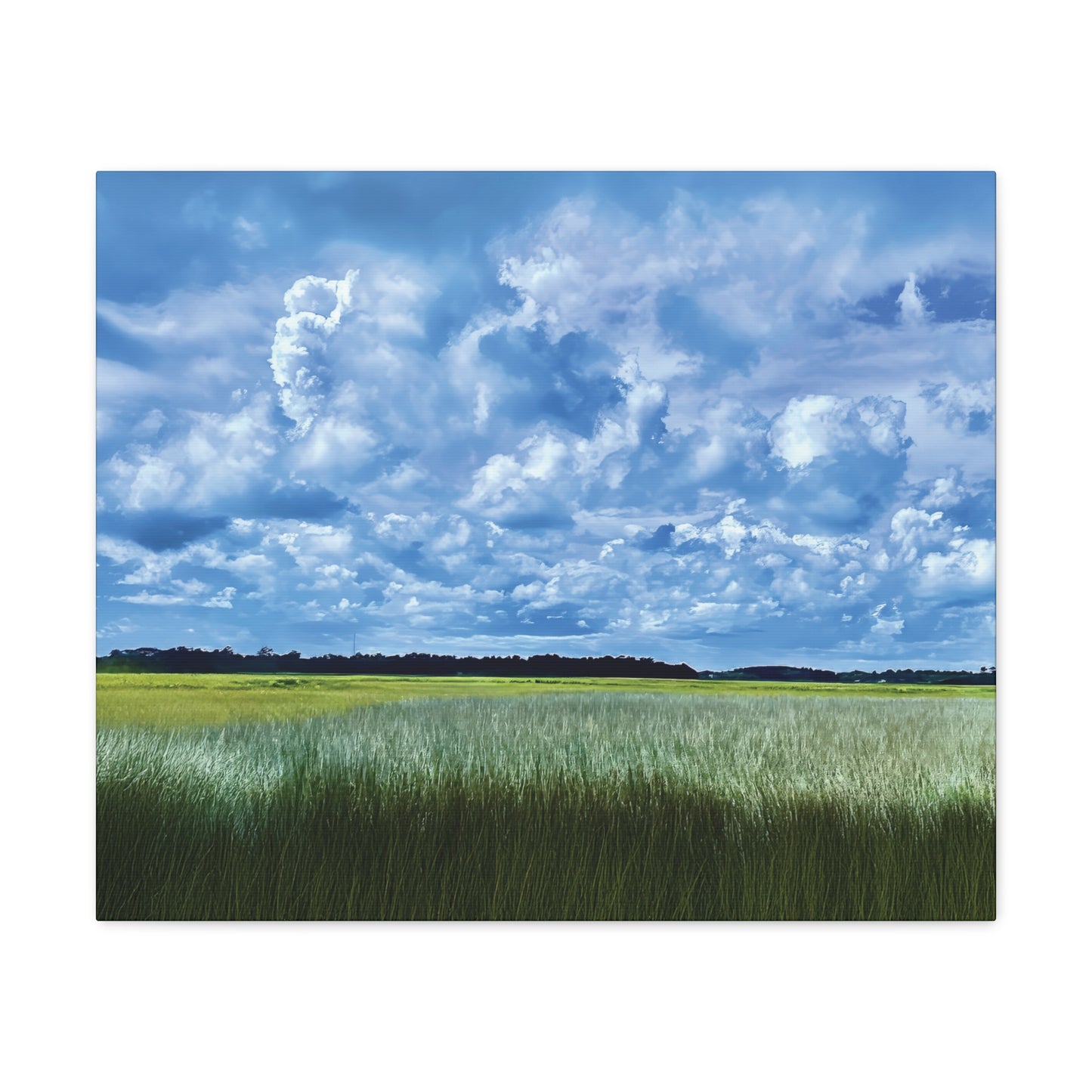 Marsh Cloudscape on Canvas