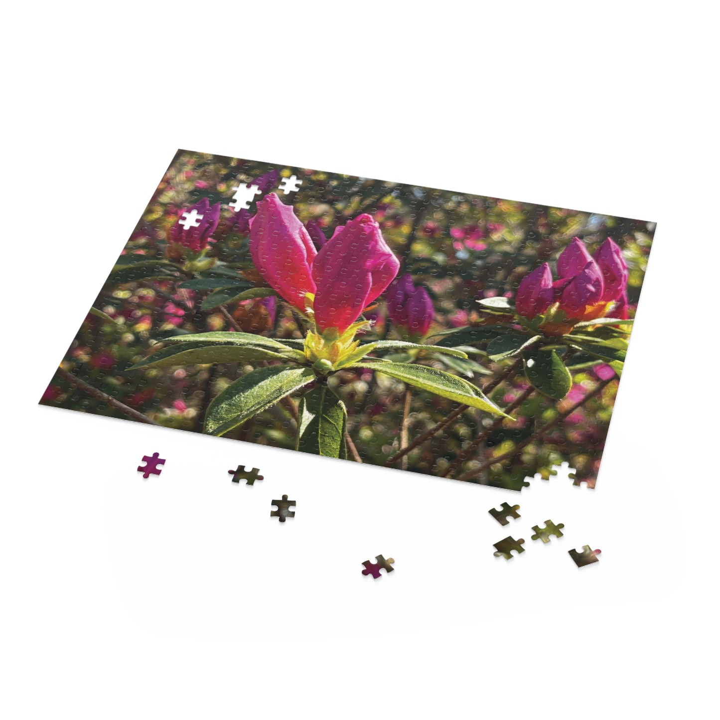 Azalea Buds