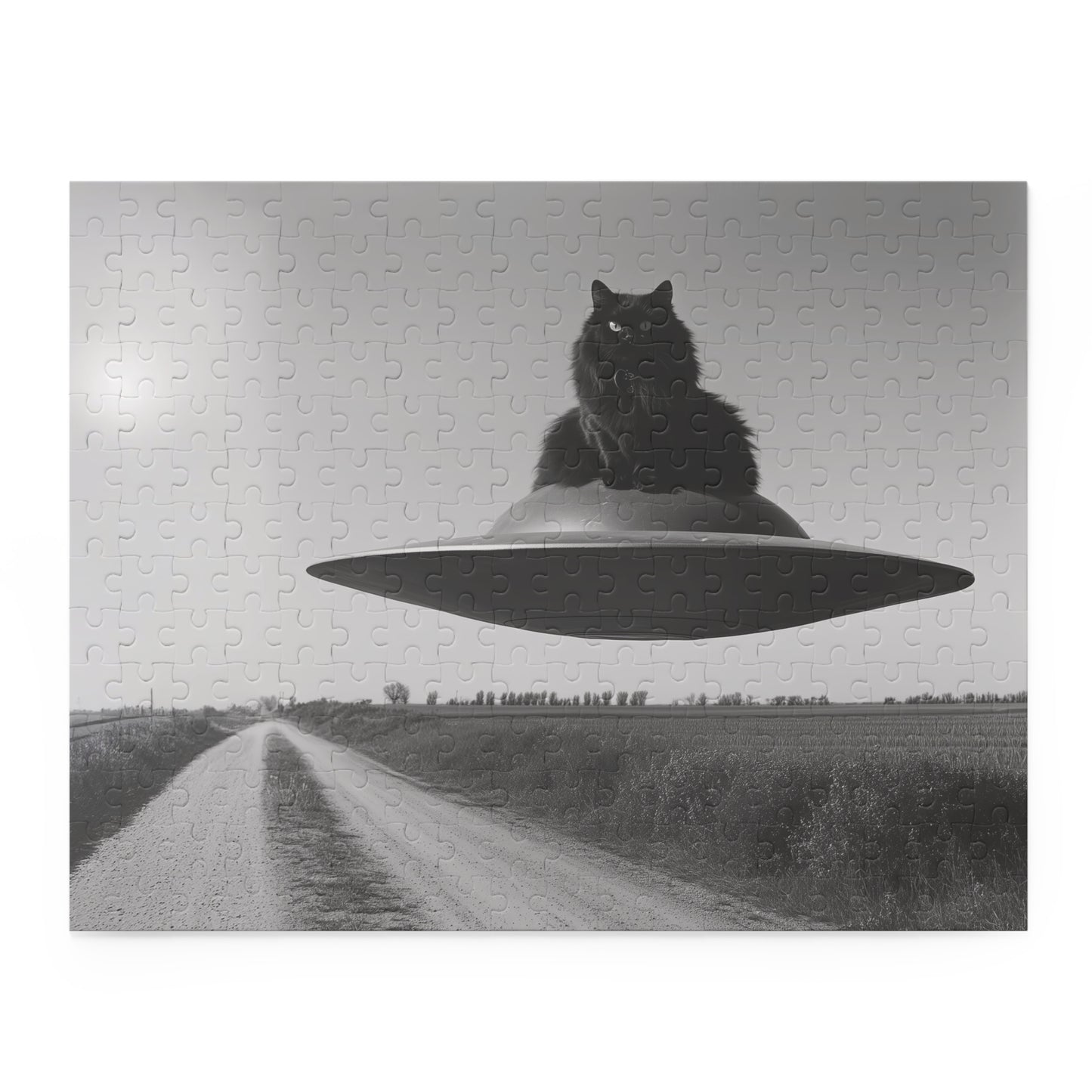 Black Cat Flying Saucer