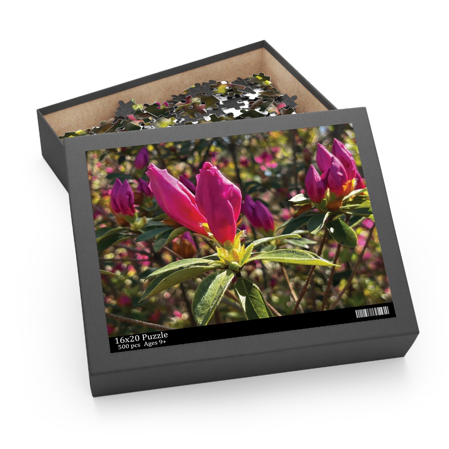 Azalea Buds