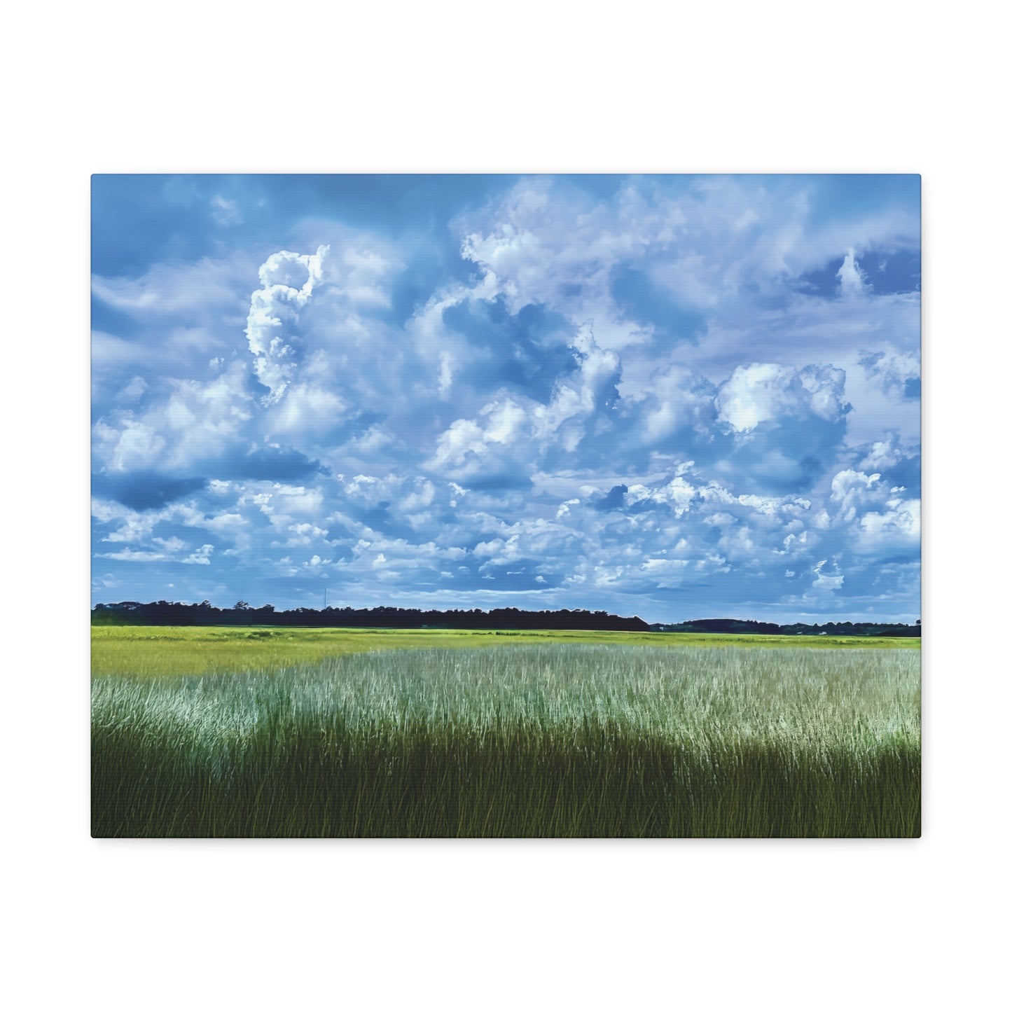 Marsh Cloudscape on Canvas