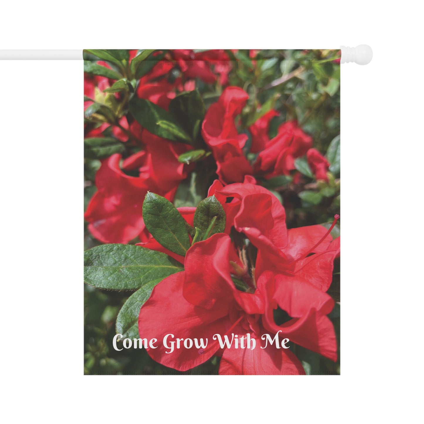 Come Grow with Me - Azaleas