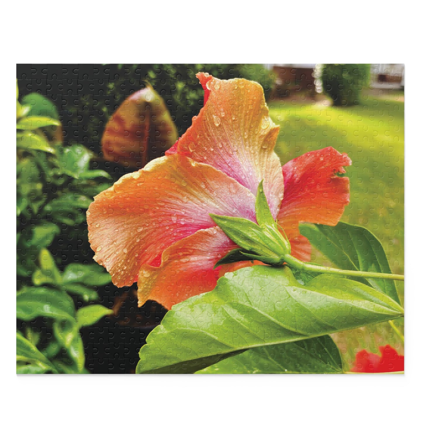 Blooming in the Rain