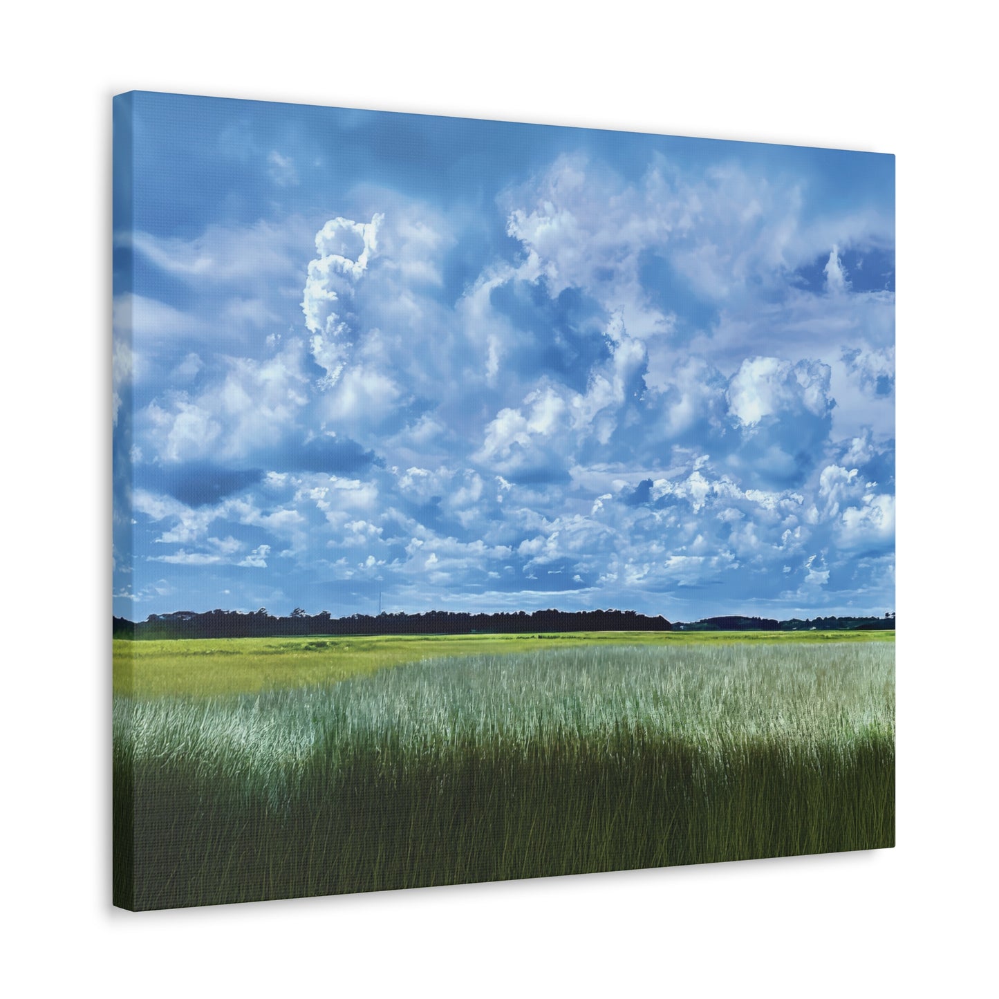 Marsh Cloudscape on Canvas