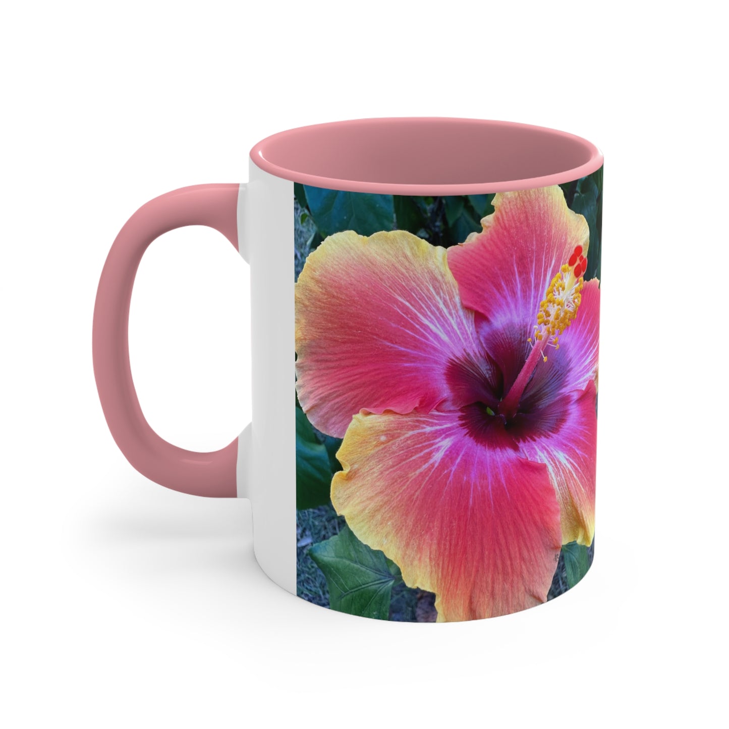 Hibiscus Bloom / Pink