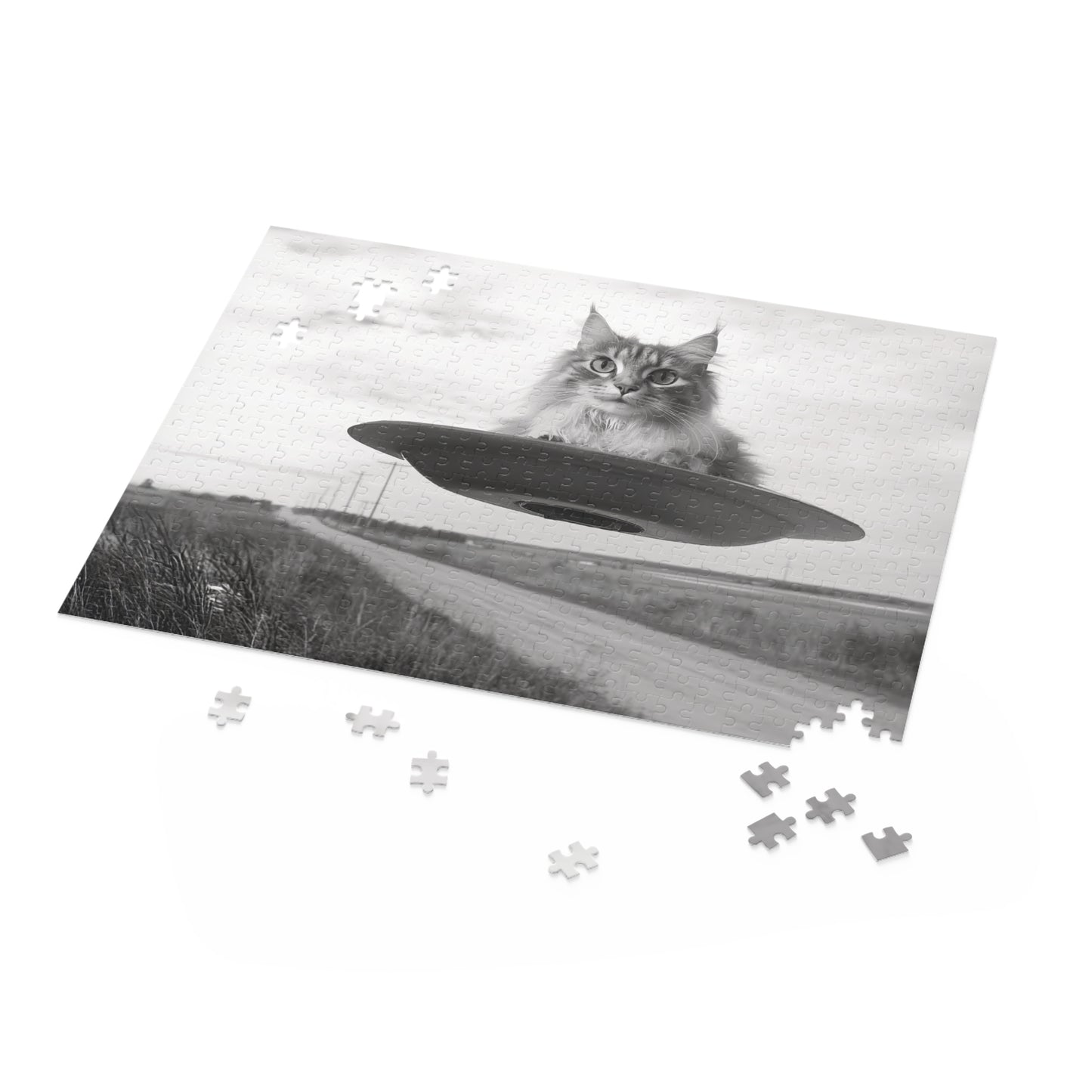 Gray Cat Flying Saucer