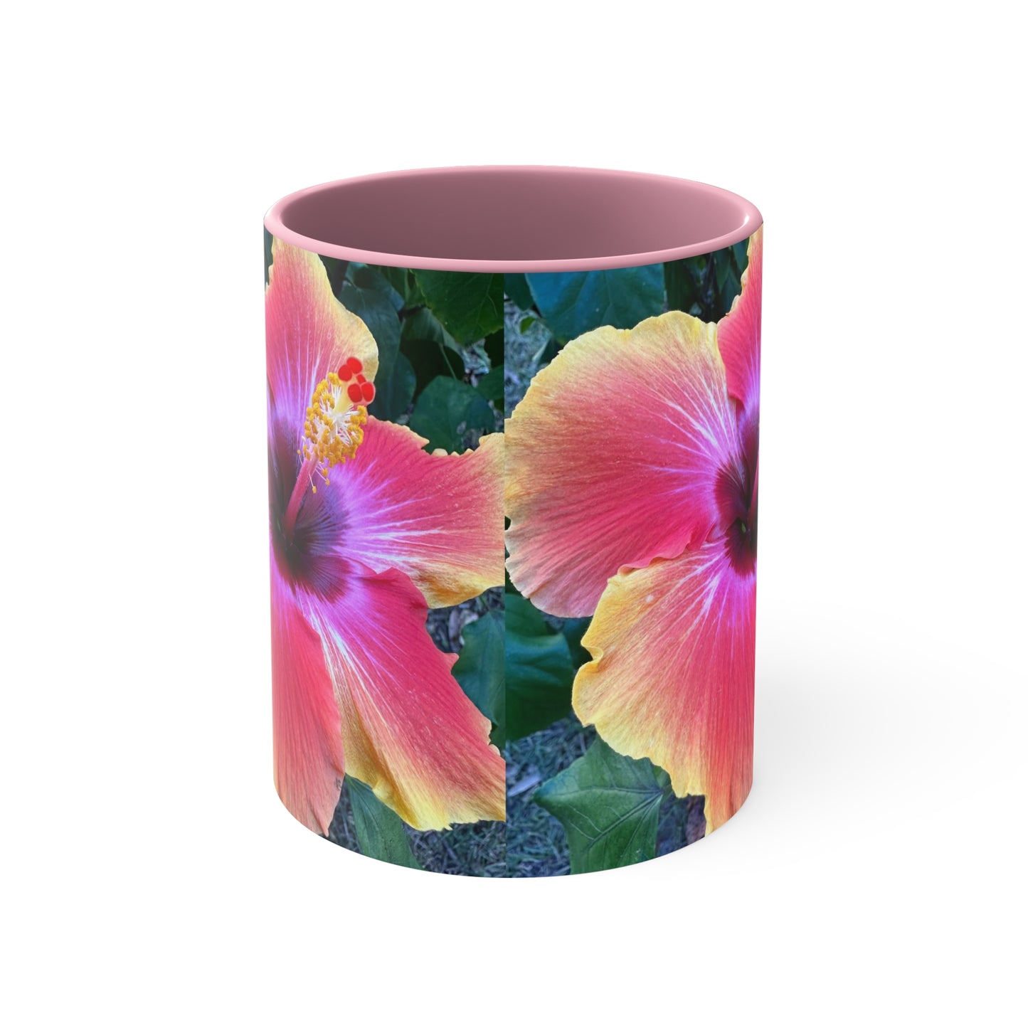 Hibiscus Bloom / Pink