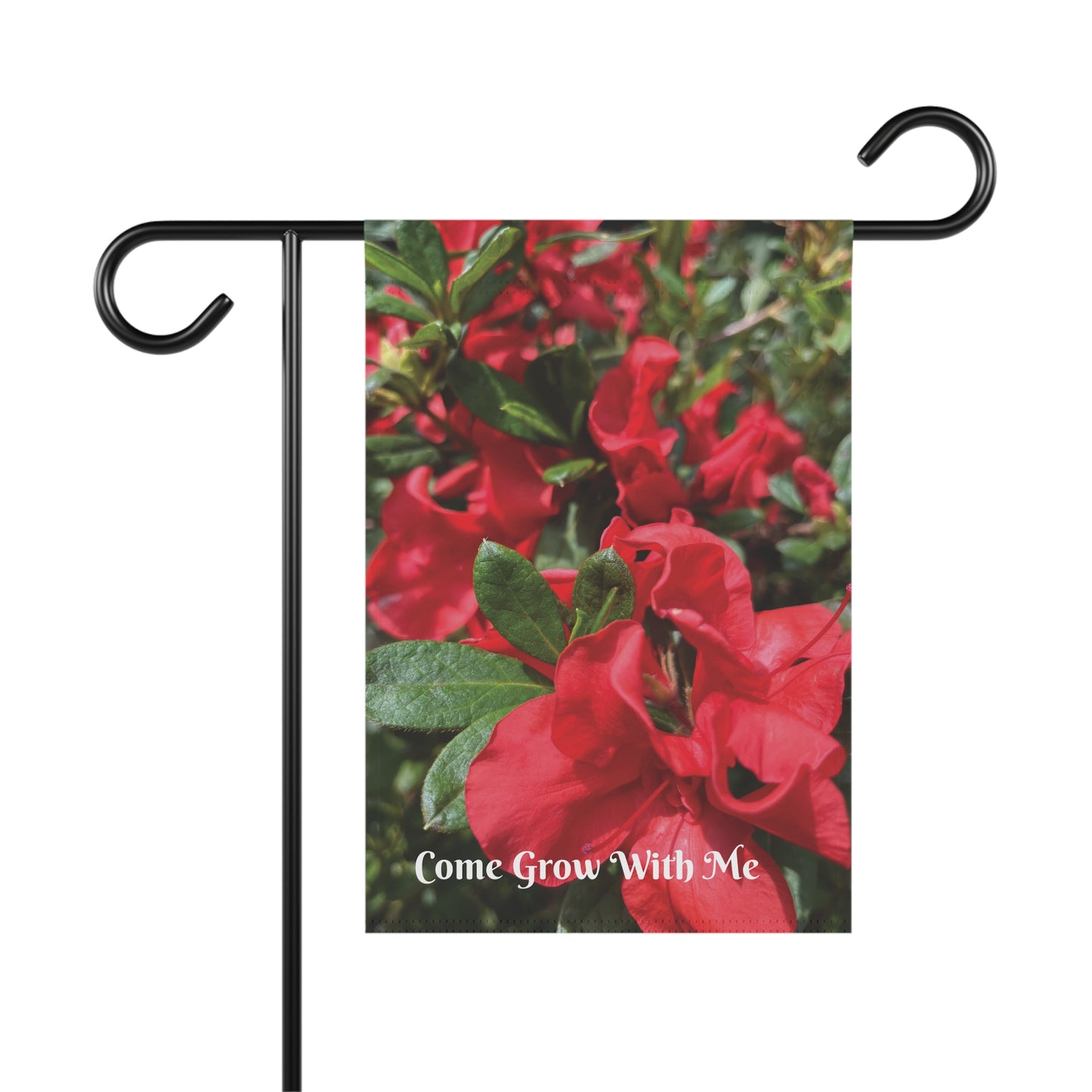 Come Grow with Me - Azaleas