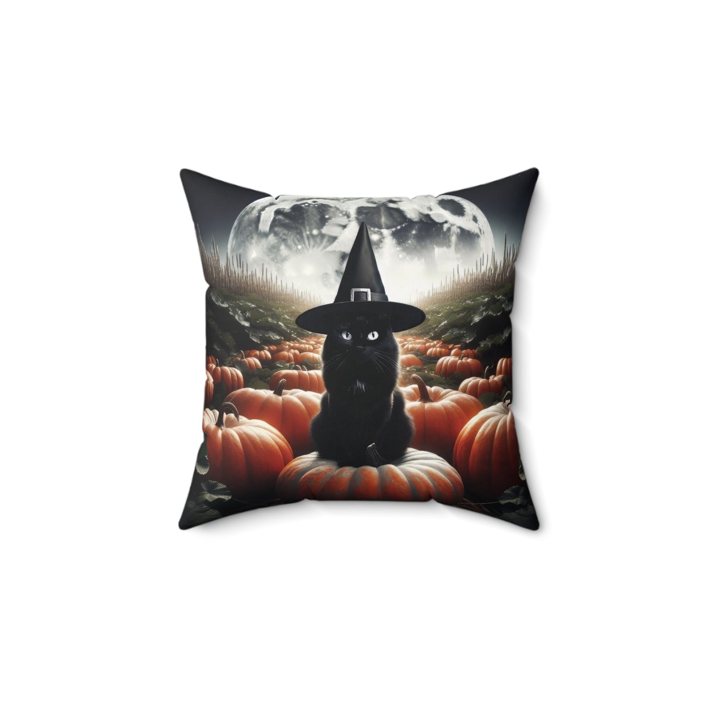 Black Cat Pumpkin Patch