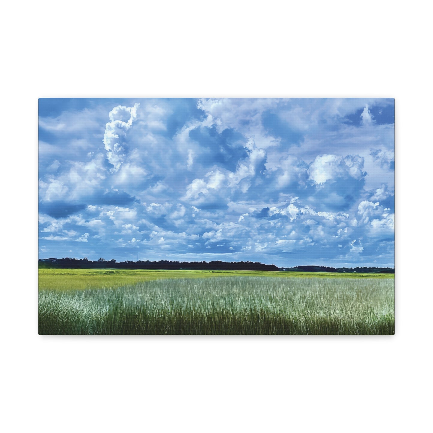 Marsh Cloudscape on Canvas