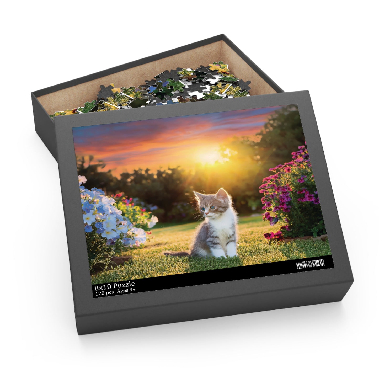 Kitten Garden 1