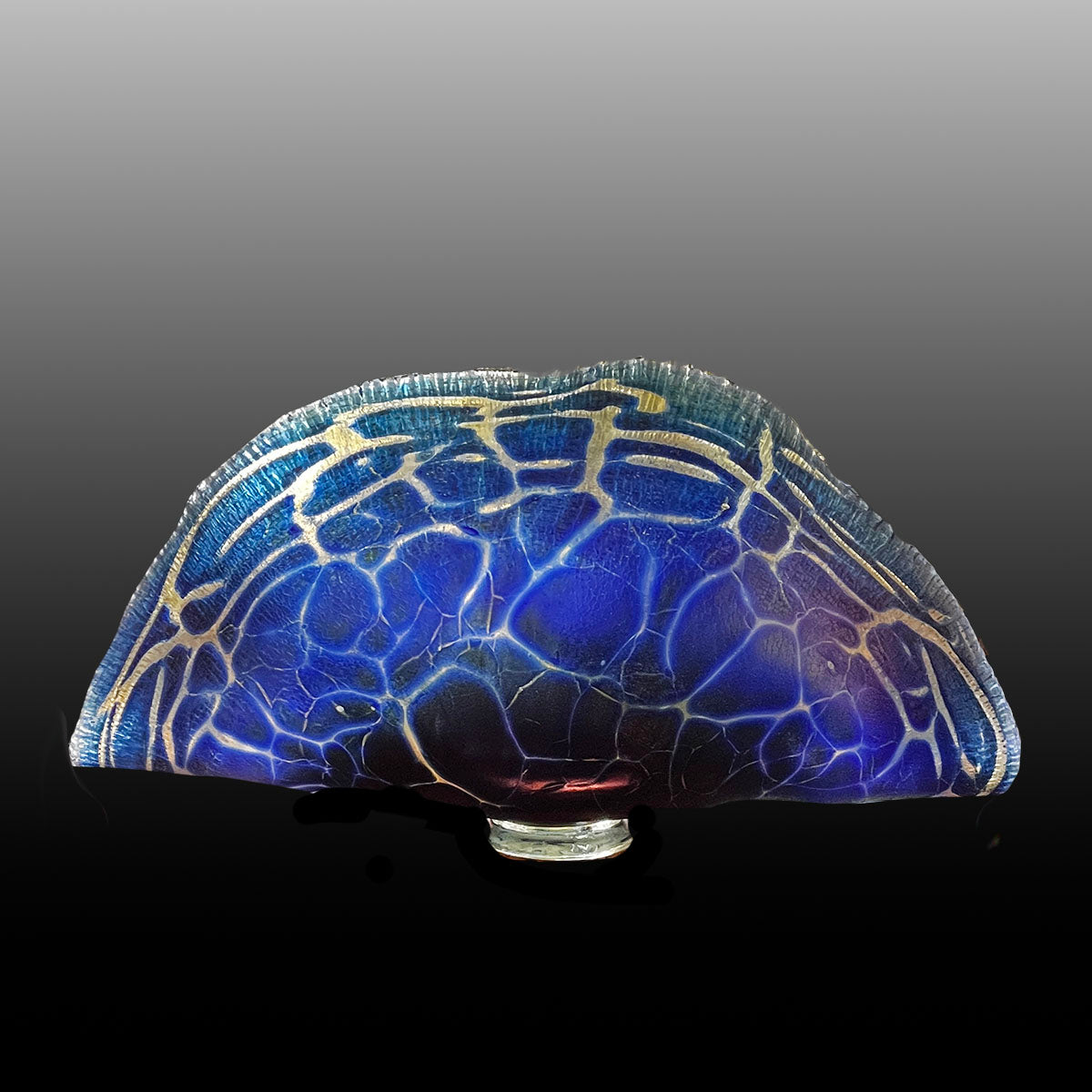 Cobalt Clamshells