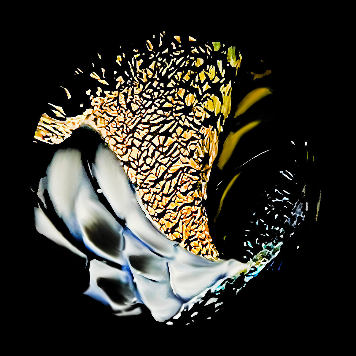 Petite Orb 77