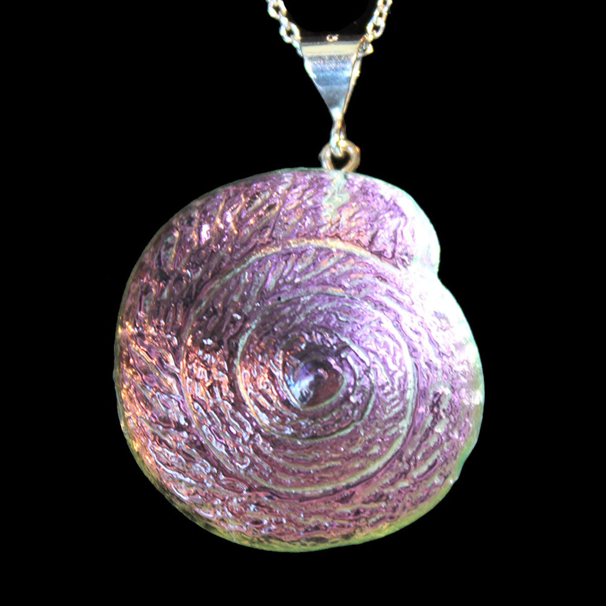 Nautilus Pendants