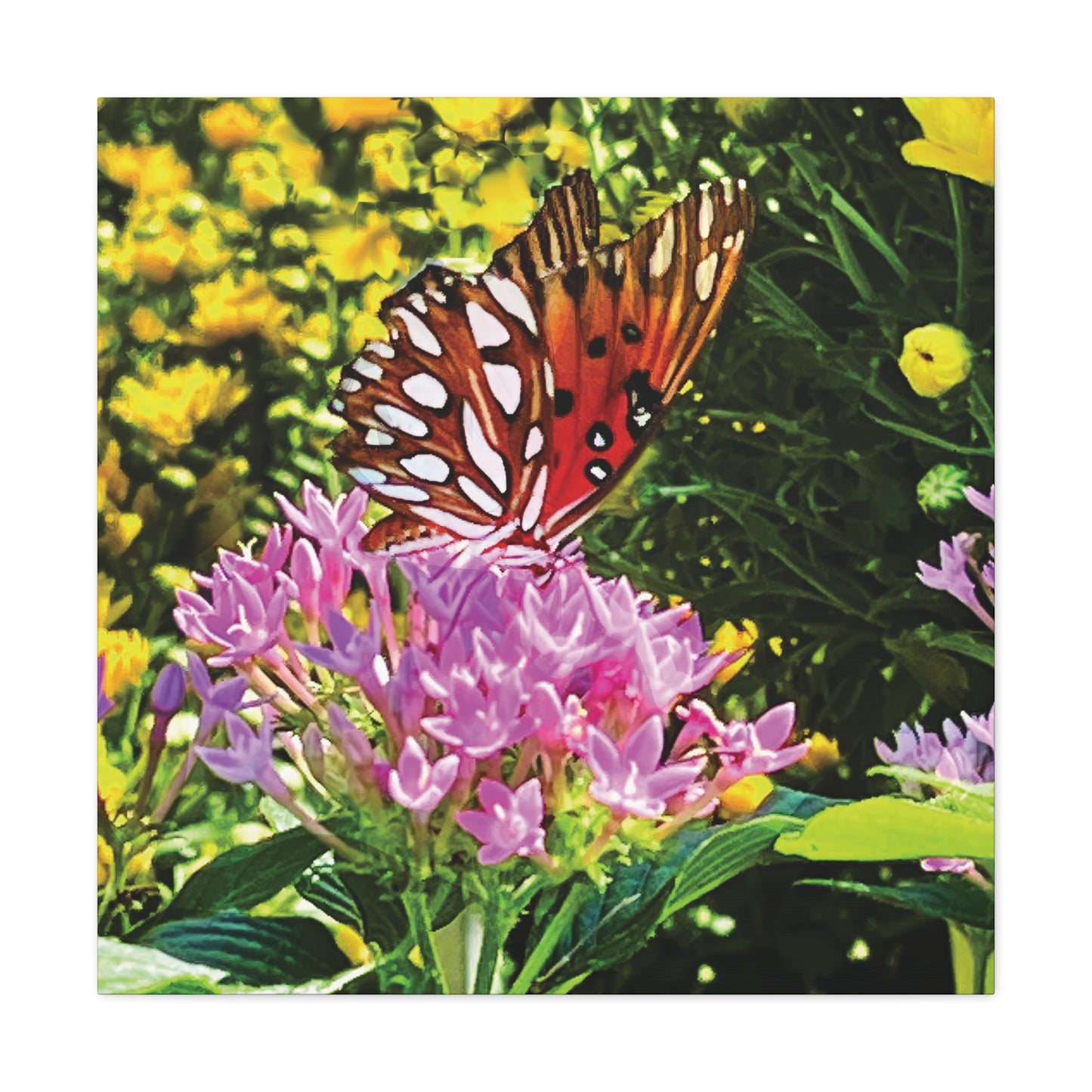 Butterfly in Garden on Canvas