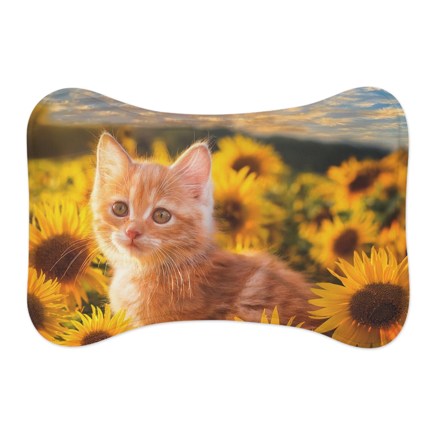 Orange Kitten with Sunflowers