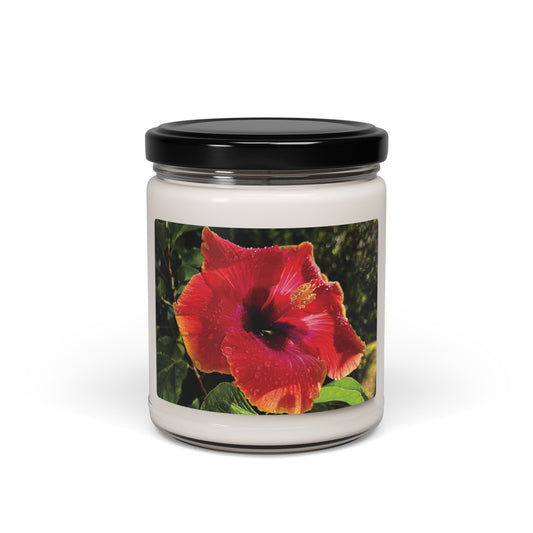 Hibiscus in Coconut and Cardamom Scent