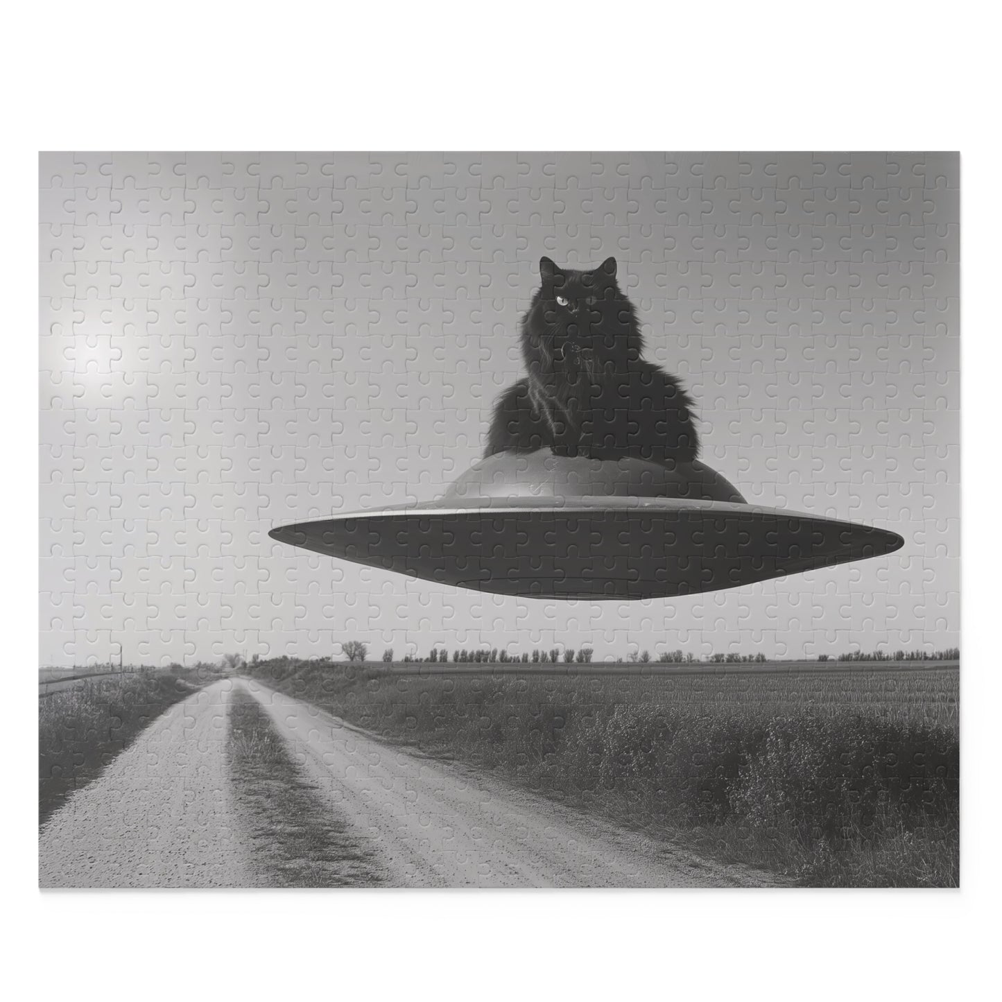 Black Cat Flying Saucer