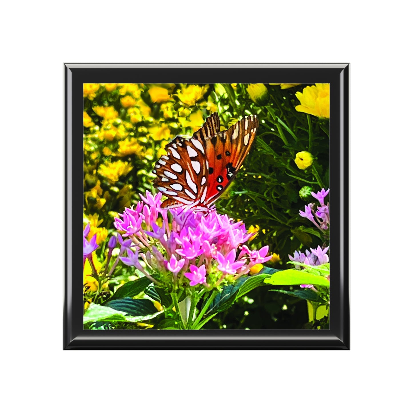 Butterfly Garden Box