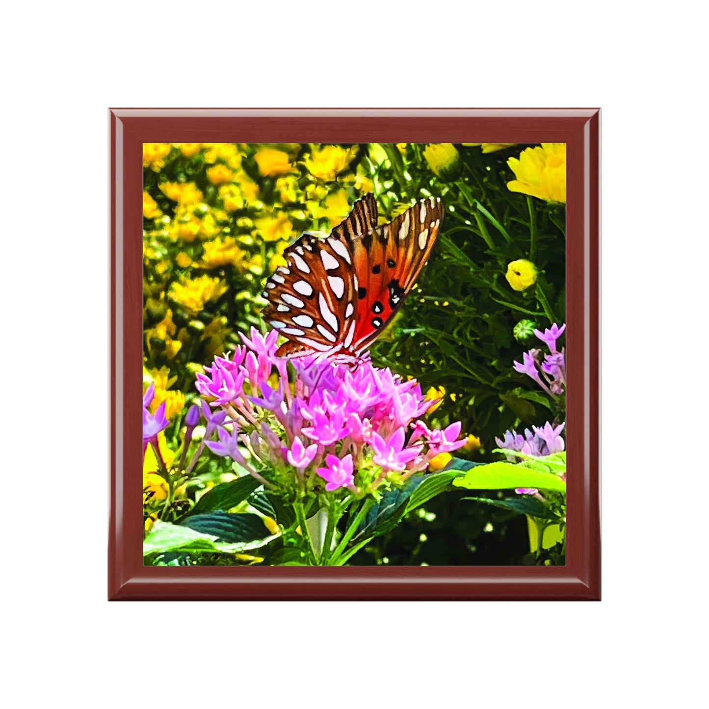 Butterfly Garden Box