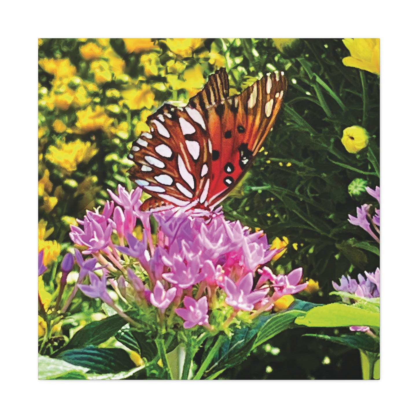 Butterfly in Garden on Canvas