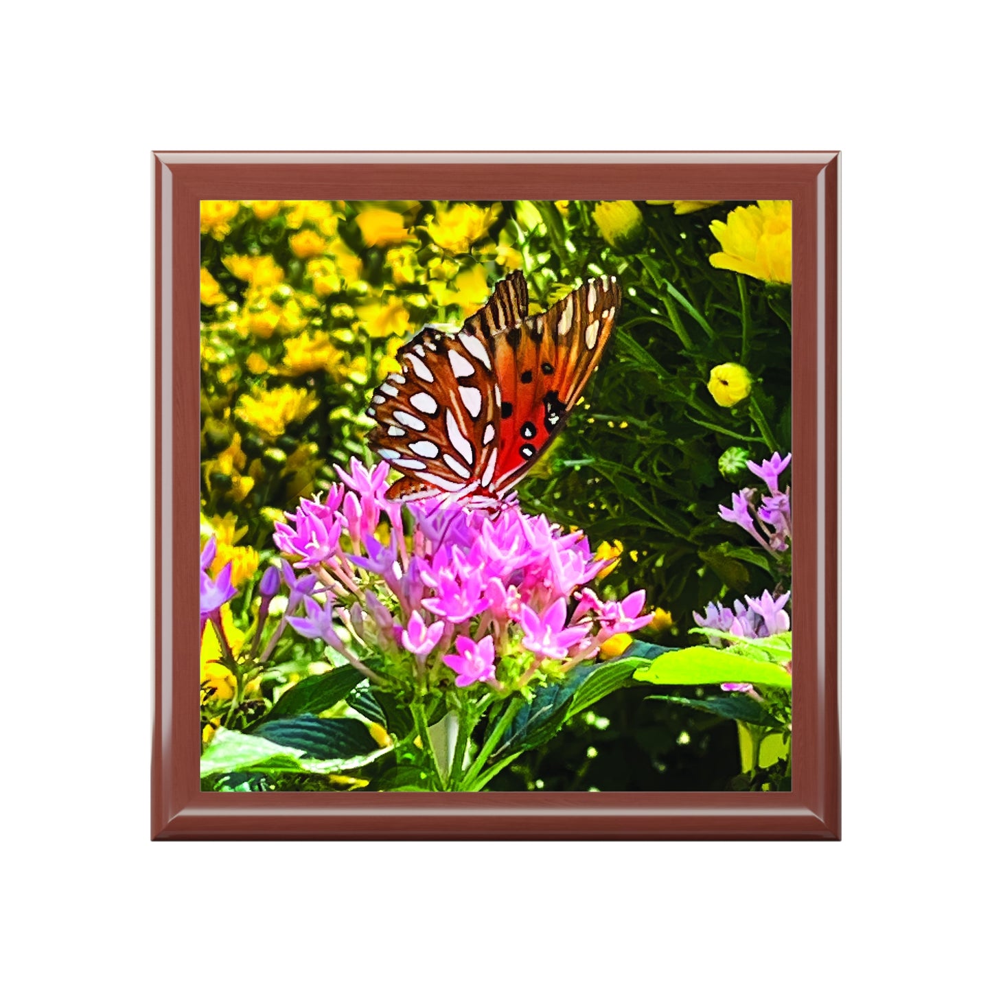 Butterfly Garden Box