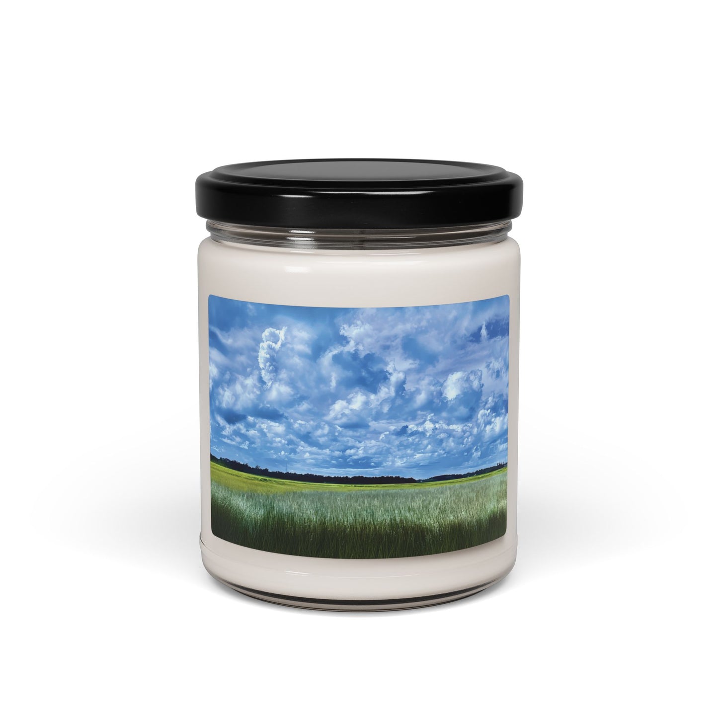 Savannah Marsh in Sea Salt & Orchid