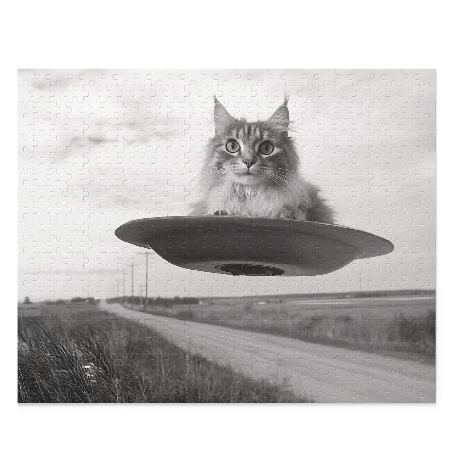 Gray Cat Flying Saucer