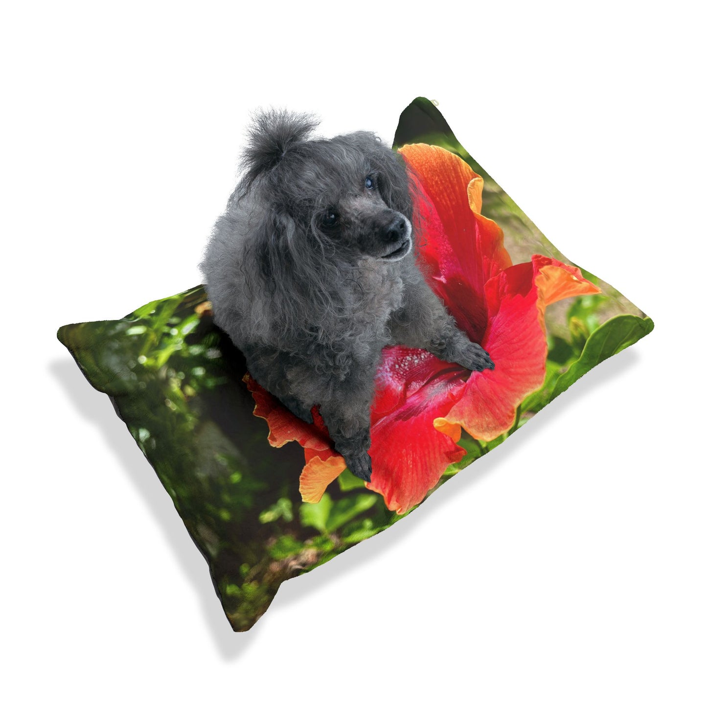 Hibiscus Blooming Pet Pillow