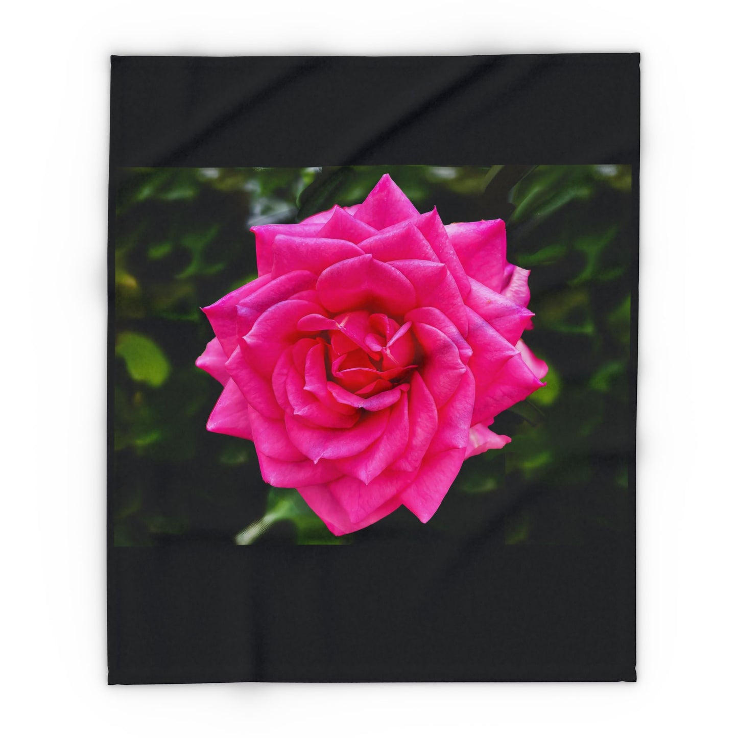 Pink Rose on Black Fleece Blanket