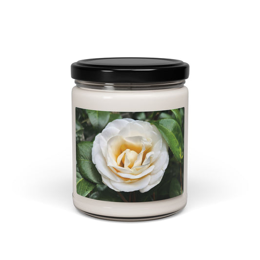 Winter Camellia in Cinnamon Vanilla