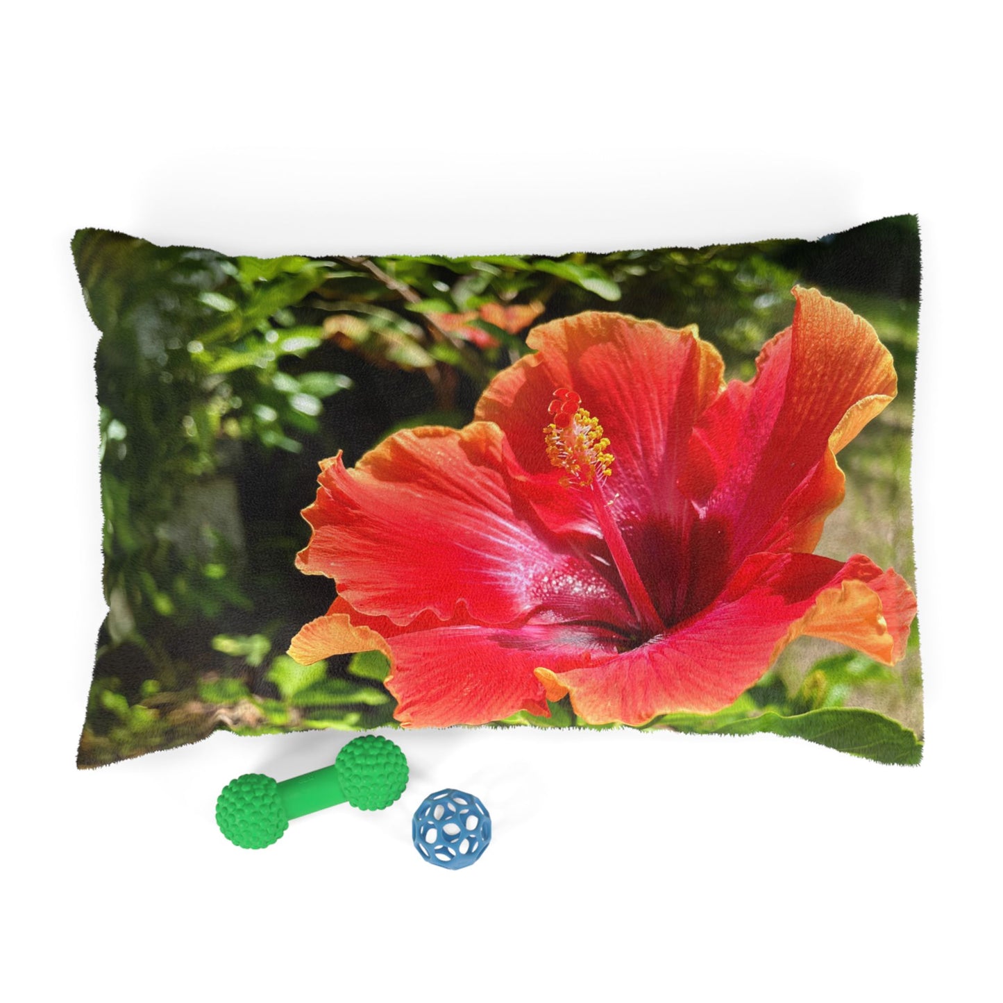 Hibiscus Blooming Pet Pillow