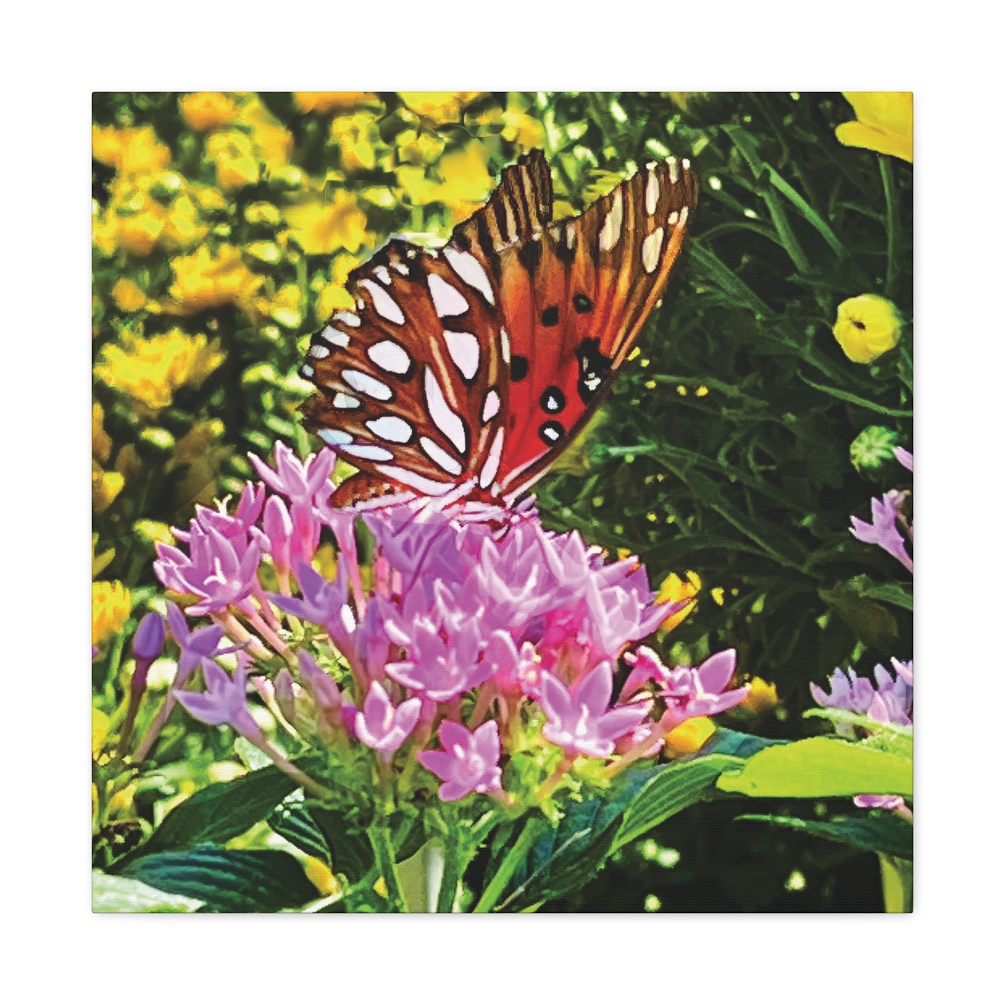 Butterfly in Garden on Canvas