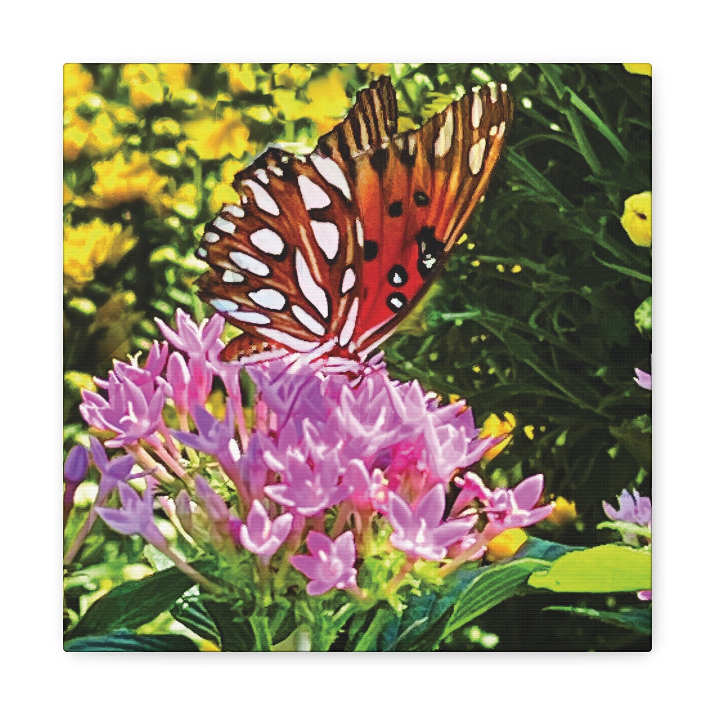 Butterfly in Garden on Canvas