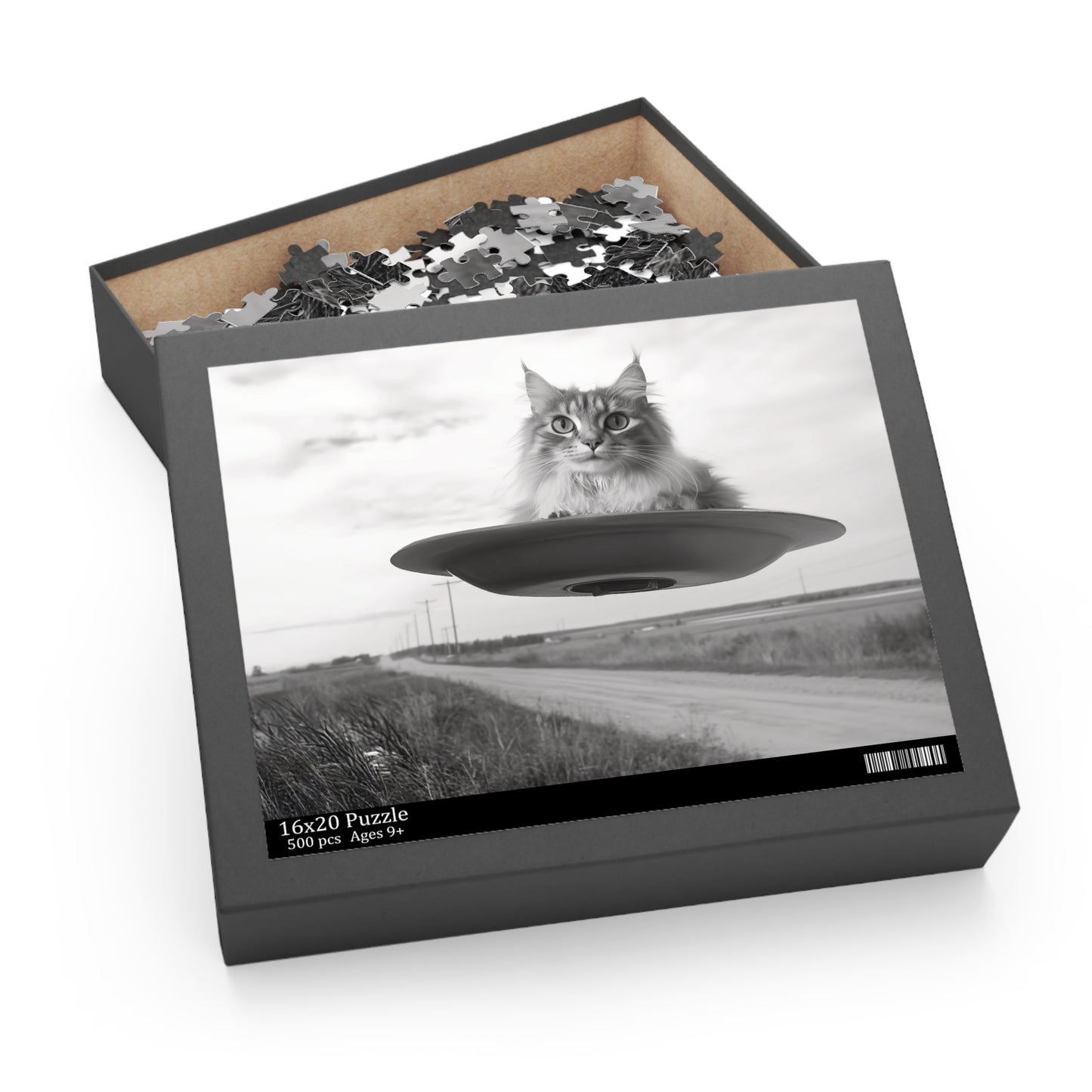 Gray Cat Flying Saucer