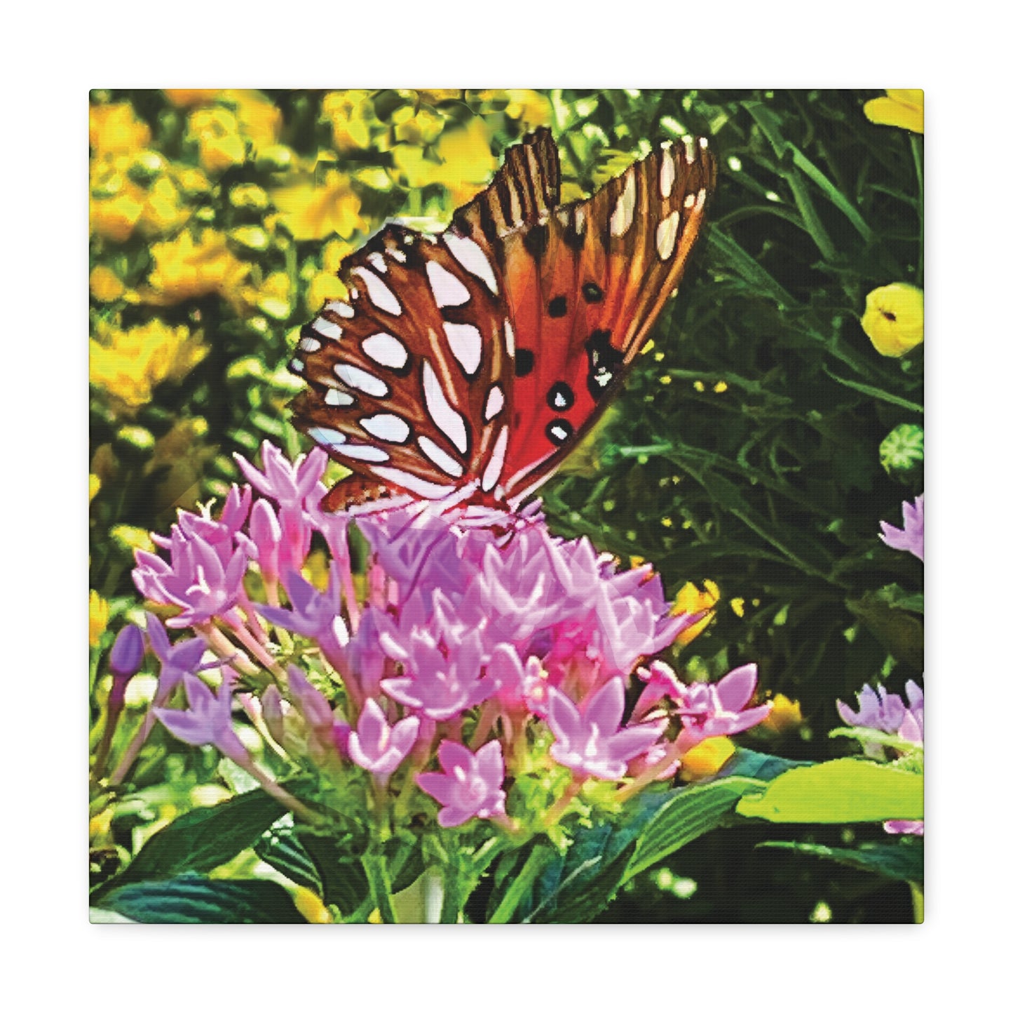 Butterfly in Garden on Canvas