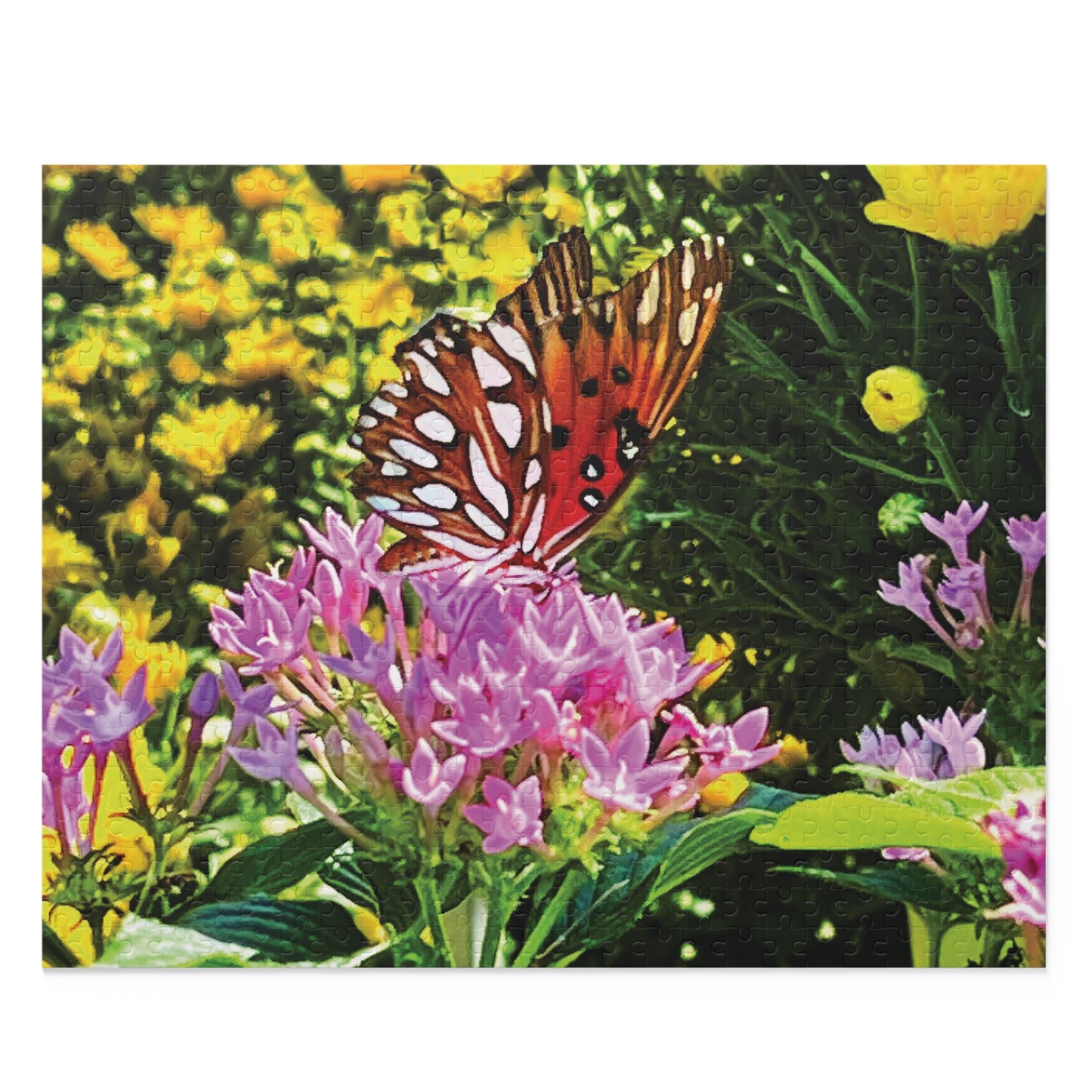 Butterfly Garden