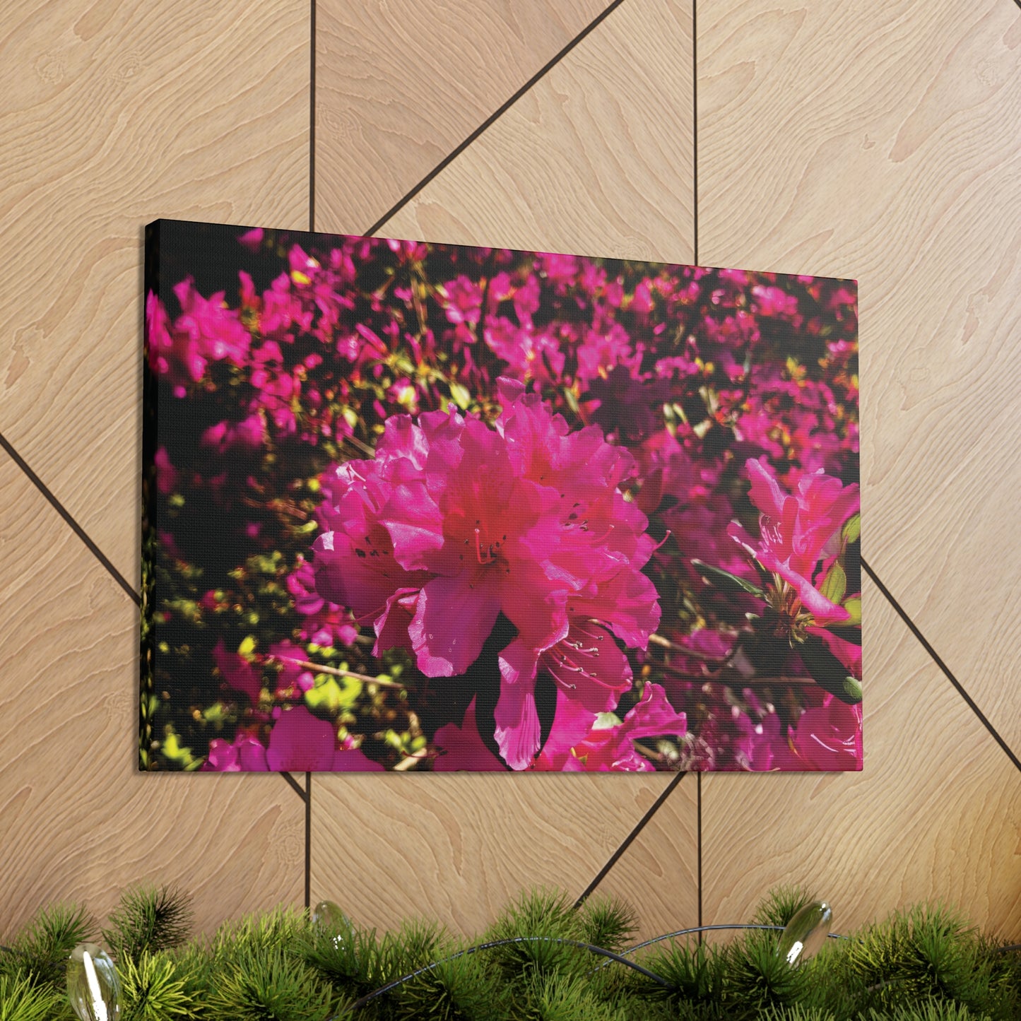 Pink Azaleas on Canvas