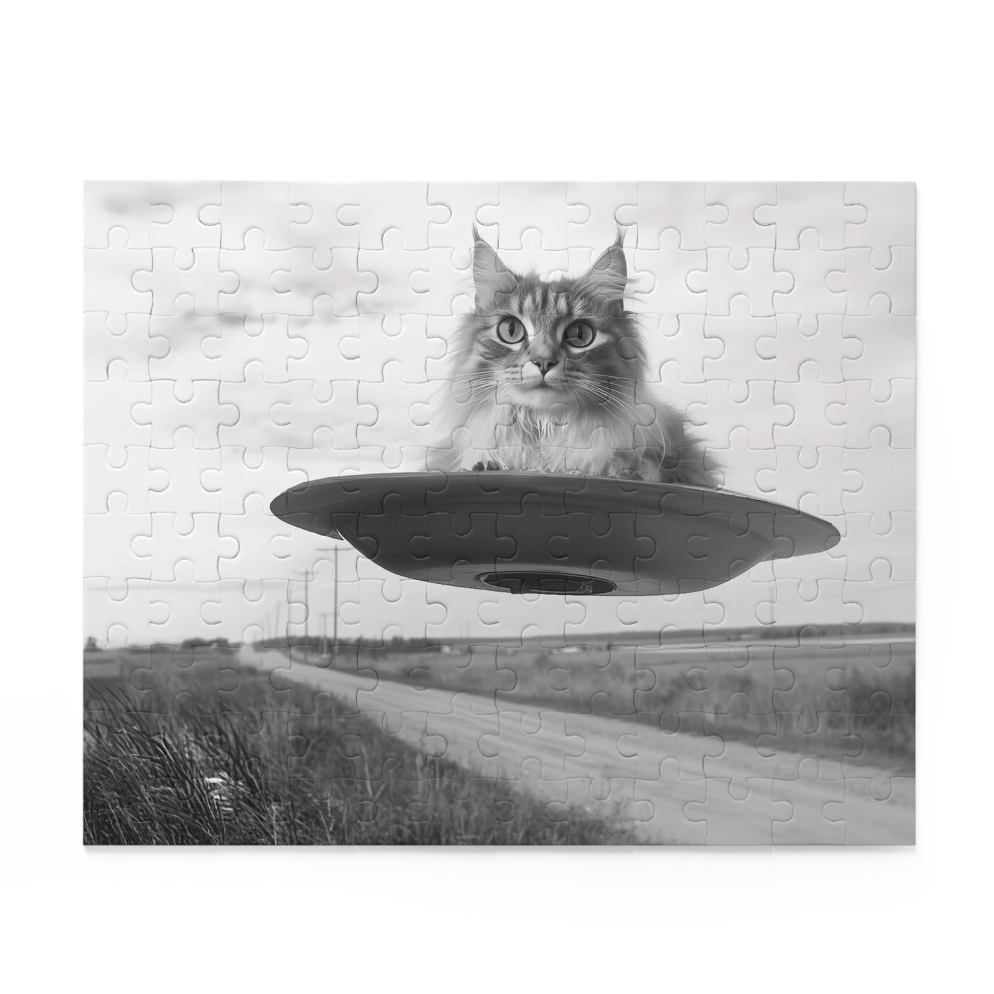 Gray Cat Flying Saucer