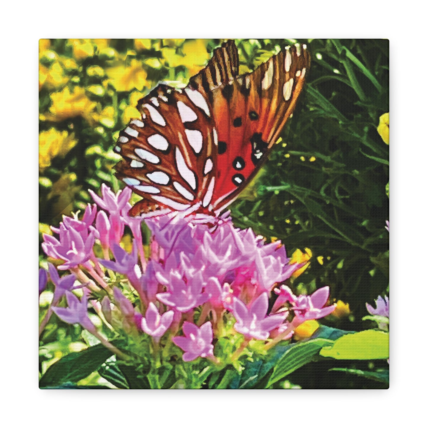 Butterfly in Garden on Canvas