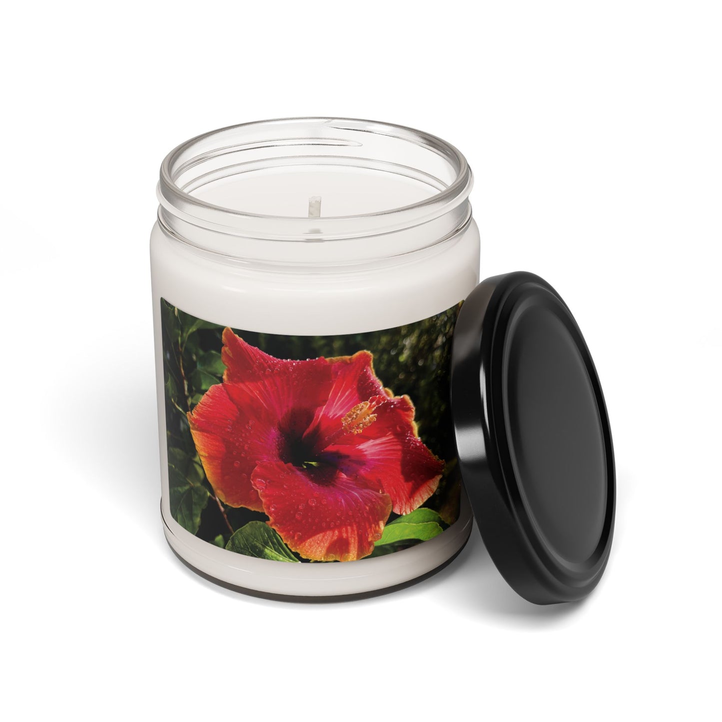 Hibiscus in Coconut and Cardamom Scent