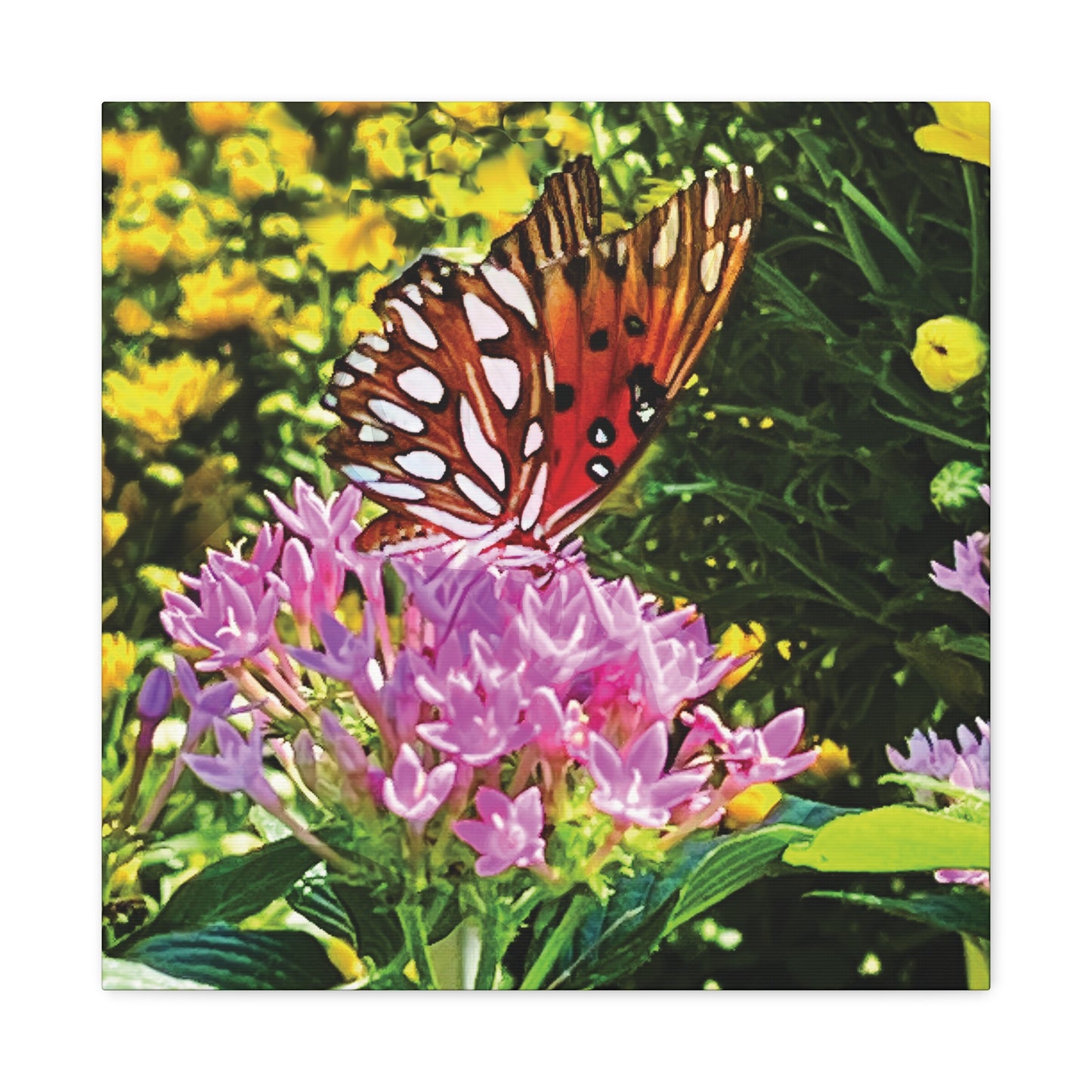 Butterfly in Garden on Canvas