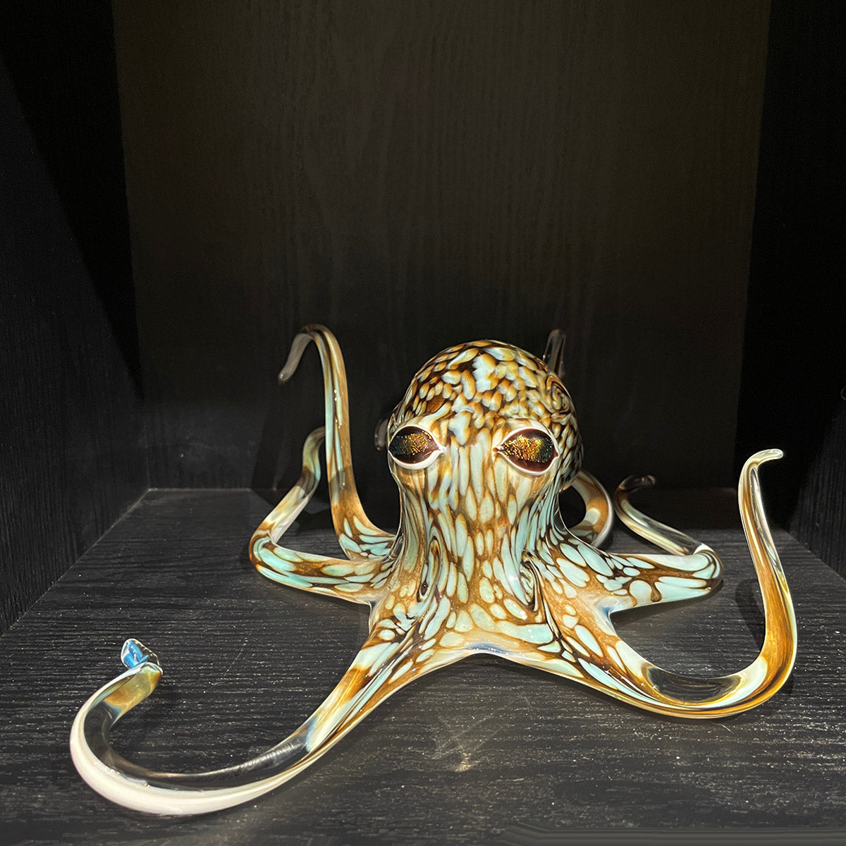 Medium Octopus