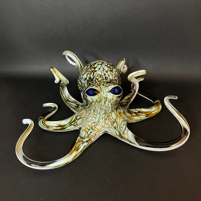 Medium Octopus