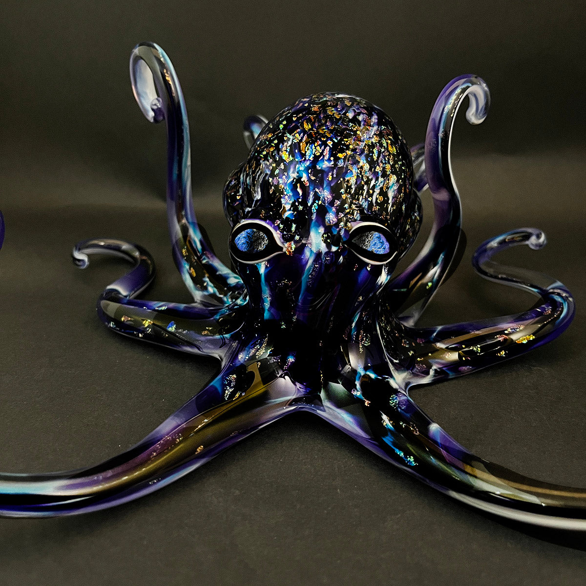 Medium Octopus