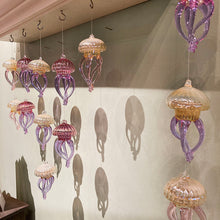 Baby Jellies