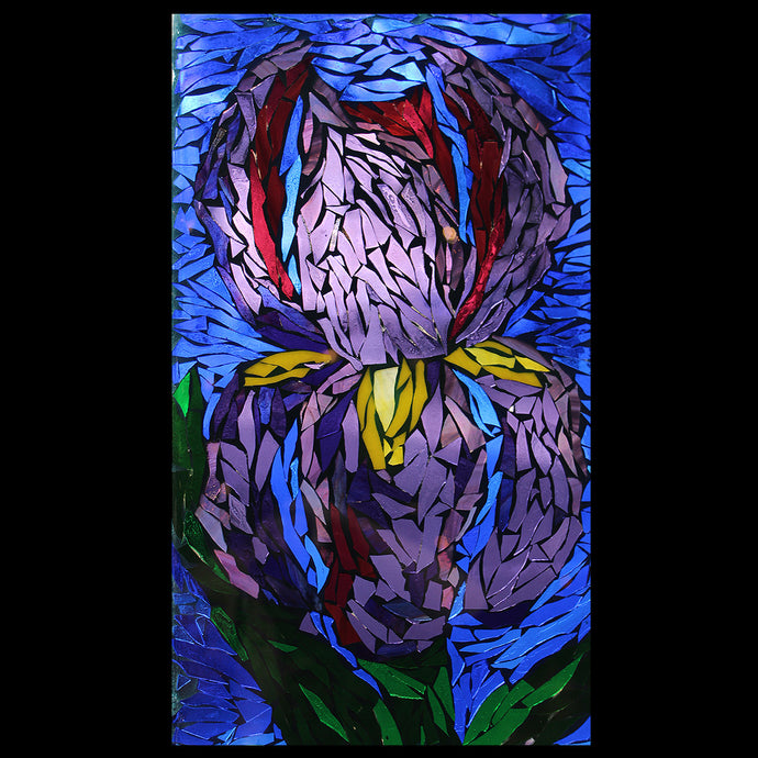 Iris Mosaic
