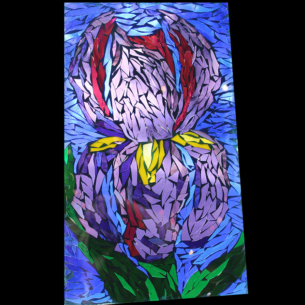 Iris Mosaic