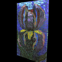 Iris Mosaic